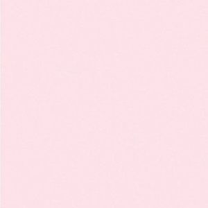 Meet your Posher, Leila